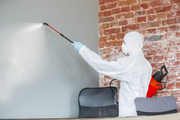 Environmental Consulting for Mold Prevention in Banks, OR