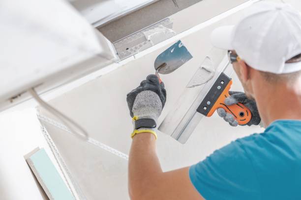 Best Biohazard Mold Removal  in Banks, OR